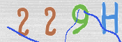 CAPTCHA-Bild